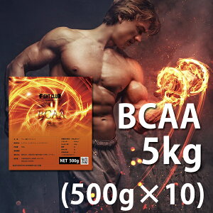  BCAA 5kgi500g×10jY Y H 500g×10@؃g g[jO {fBCN _CGbg oNAbv(FC10×)10