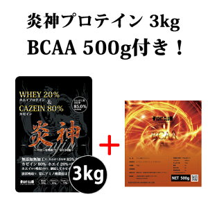 BCAA500gt  _veC3kg J[CveC 3kg p3kg veC J[C zGC ؃g g[jO Y Y H _CGbg ㋣Z  ؓ   w 