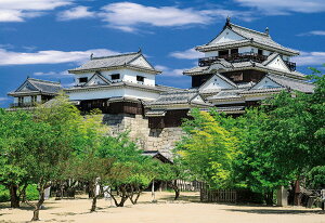 WO\[pY R-Q 300s[X G|bN EPO-71-102 pY Puzzle Mtg a v[g