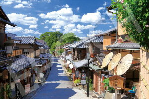 WO\[pY N-s 2016s[X G|bN EPO-22-120s pY Puzzle Mtg a v[g