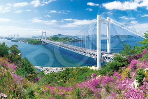 WO\[pY  ˑ勴-R 2016s[X G|bN EPO-22-113s