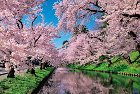 ジグソーパズル 桜雲の弘前公園（青森） 1000ピース やのまん YAM-10-1455 ［CP-GP］ パズル Puzzle ギフト 誕生日 プレゼント