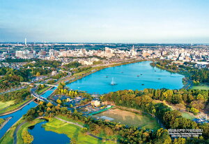 WO\[pY 錧ˎsug΋Bv 300s[X L[eB[Y CUT-300-405 pY Puzzle Mtg a v[g