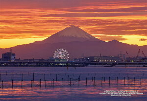 WO\[pY tDsuOԐ݂xmRv 300s[X L[eB[Y CUT-300-431 pY Puzzle Mtg a v[g