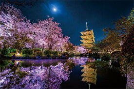 ジグソーパズル 月夜に咲く（京都） 1000ピース やのまん YAM-10-1299