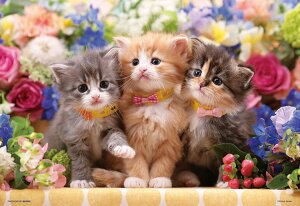 �W�O�\�[�p�Y�� �e�L�����̉Ԏ��� 300�s�[�X �r�o���[ BEV-300-139 �mCP-CA�n �p�Y�� Puzzle �M�t�g �a���� �v���[���g