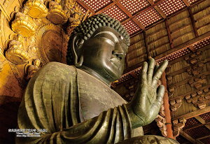 WO\[pY ޗǌޗǎs u厛啧av 300s[X L[eB[Y CUT-300-436 pY Puzzle Mtg a v[g