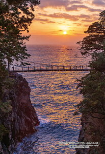 WO\[pY Éɓsu郖 e苴̓̏ov 300s[X L[eB[Y CUT-300-444 pY Puzzle Mtg a v[g