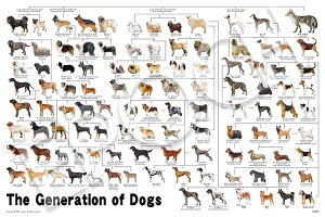 WO\[pY ̌n} 1000s[X G|bN EPO-12-625s pY Puzzle Mtg a v[g av[g