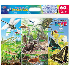 WO\[pY }(w}LIVE) 60s[X e[ TEN-MC60-629@ mCP-ITn pY Puzzle qp c mߋ mpY m Mtg a v[g av[g