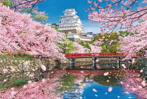 \ WO\[pY tࣖ̕PH 1000s[X ro[ BEV-1000-136 pY Puzzle Mtg a v[g