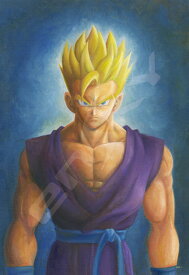 楽天市場 ドラゴンボール 誕生日の通販