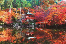 楽天市場 ジグソーパズル 紅葉 1000ピースの通販