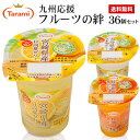 1月9日(水)20:00〜16日(水)1:59 期間限定セール【39%OFF&送料無料】たらみ「フルーツの絆」3種類各2箱ずつ、計6箱セット(1箱6個入り×6箱...