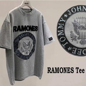ロックtシャツ ラモンズ ramoes 刺繍 刺しゅう Tシャツ グレー バンドTシャツ ロック ファッション ROCK パンクファッション ライブtシャツ おしゃれ 大人Tシャツ 夏休み フェス ライブ