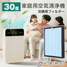 ★花粉症グッズ★ 空気清浄機交換用フィルター 270*335*25mm 約25~30畳用 脱臭機 空気清浄機 空気清浄器 交換用フィルター クリア ウイルス対策 活性炭 タバコ ホコリ ハウスダスト PM2.5 黄砂 花粉 設置簡単 コンパクト 集塵脱臭 ペット 家庭用 会社用 ホテル 一人暮らし