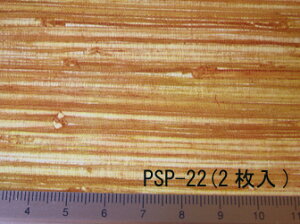 PSP-22 ELM plO2 i1/12TCYj