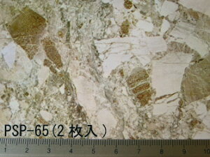 PSP-65 ROUGH嗝2 i1/12TCYj