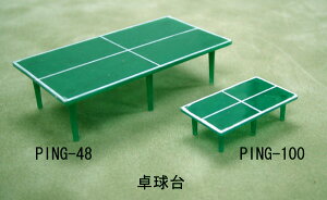PING-48(1/48) PING-100(1/100)싅 choice