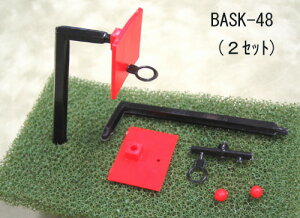 BASK-48(1/48) BASK-100(1/100) oXPbg choice(e2Zbgj