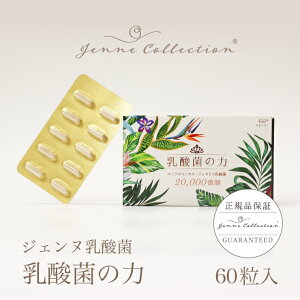 y_ 2z WFk_ 60 JvZ Tv Tvg FK-23 LFK nanoECF N e  jenne WFkRNV   epier GsG