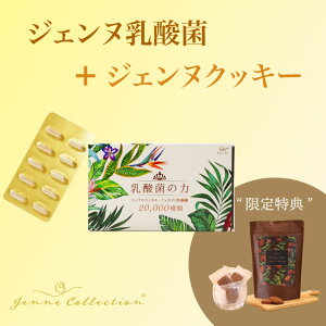 yԌz Ԍ Zbgi WFk_60 { WFkNbL[ JJI 15 NbL[ N e  _ Tv JvZ FK-23 LFK nanoECF _CGbg  H@