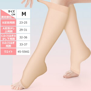  \bNX ×p  ɘa eXgbLO ×p NbY pPA  \bNX ܐ斳 e\bNX ނ݂\bNX \bNX ӂ͂ C f