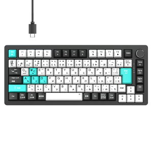 JjJL[{[h ƊEIWiJ {zƃJi󎚈 75% KXPbgQ[~OL[{[h L E JX^}CYL[{[h USB C/Ap 82L[ PBTL[Lbv  40G