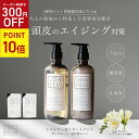 【★P5倍＆10%OFF★ 】 【 LDK A評価 】 JOIE CELU ジョワセル ヒト幹細胞 シャンプー トリートメント セット 詰め替え | シャンプー 美容室専売 くせ毛 改善 トリートメント しっとり エイジングケア 加齢臭 男性用 白髪 予防 クレイ 泥 髪質改善 うねり メンズ 育毛