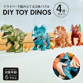 おもちゃ 恐竜 子ども ダイナソー ドライバー 大工さんごっこ DIY 立体パズル 室内遊び 組み立てタイプ 分解 ギミック 男の子 女の子 子供 知育玩具 ネジ ごっこ 子供 キッズ 誕生日 プレゼント クリスマス ギフト こどもの日 F.O.TOY BOX DIY TOY DINOS 4点セット 6581923