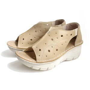 yԕizT_ y y EGbW\[ 炩 NbV p`O 4.5Z`q[ ɂȂ fB[X ₷ VRv ubN zCg x[W 22.0 24.5 t 