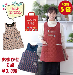 y܁zLggGv ܂2Zbg gĂ킢~̉ƎX^C 3000~ 