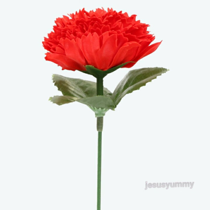 楽天市場 美女と野獣 入浴剤 カーネーション モチーフ Q Flaケリーバスフラワーrs 母の日 ギフト フローラルソープ インテリアフレグランス 東京 ディズニーランド 東京ディズニーリゾート 限定 お土産 Disney jesus yummy 楽天市場 美女と野獣 入浴剤 カーネーション モチーフ Q Flaケリーバスフラワーrs 母の日 ギフト フローラルソープ インテリアフレグランス 東京 ディズニーランド 東京ディズニーリゾート 限定 お土産 Disney jesus yummy