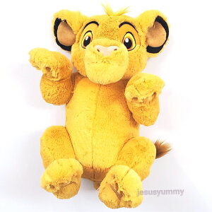 Vo@ʂ݁@ӂӂ̔G@tbtB[vbV[@CILO@fBYj[][g@@yY yDISNEYz