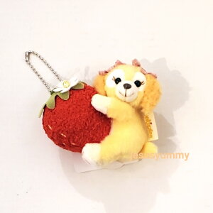 NbL[EA@ʂ݃`[@NbL[A@_btB[tỸn[gtFgEXgx[Mtg@2024@fBYj[V[@yY