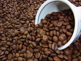 自家焙煎コーヒーエクアドル グレートマウンテン (500g) コーヒー豆：【RCP】【HLS_DU】