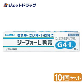 【第(2)類医薬品】ジーフォーL軟膏 20g ×10個