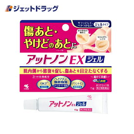 【第2類医薬品】アットノンEX ジェル 15g (044612)