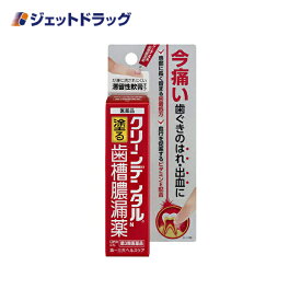 【第3類医薬品】クリーンデンタルN 塗る歯槽膿漏薬 8g