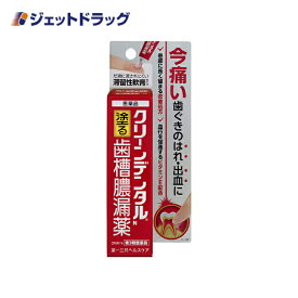 【第3類医薬品】クリーンデンタルN 塗る歯槽膿漏薬 16g