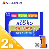 ≪25日はジェットの日！全商品P2倍！≫【第2類医薬品】恵命我神散S 3g 120包入