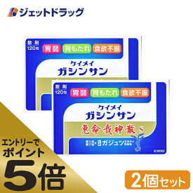 ≪マラソン期間中はキャンペーンエントリーで全商品P5倍！10日限定先着クーポン有≫【第2類医薬品】恵命我神散S 3g 120包入 ×2個