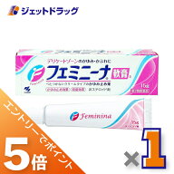 ≪マラソン期間中！全商品P5倍！20日は限定先着クーポン有≫【第2類医薬品】フェミニーナ軟膏S 15g ※セ…