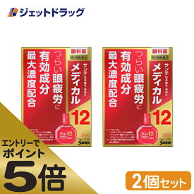 ≪スーパーSALE期間中エントリーで全商品P5倍！5日＆10日は限定クーポン有≫【第2類医薬品】サンテメディカル12 12mL ×2個 ※セルフメディケーション税制対象