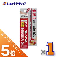≪マラソン開催中！全商品P5倍！15日限定先着クーポン有≫【第3類医薬品】クリーンデンタルN 塗る歯槽膿…