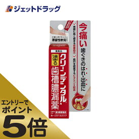 ≪スーパーSALE期間中エントリーで全商品P5倍！5日＆10日は限定クーポン有≫【第3類医薬品】クリーンデンタルN 塗る歯槽膿漏薬 8g