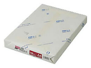 q PODOXR[g 128 A4 250 900365 A4 J[[U[p [U[v^p