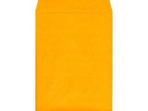 p3J[NtgIW 100 K3S-424 p3 B5TCY ЎGp p^Cv Ft m[g