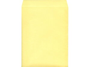 p3J[NtgN[ 100 K3S-421 p3 B5TCY ЎGp p^Cv Ft m[g