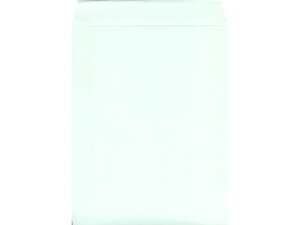 p3tbVg[ O[ 100 K3S-546 p3 B5TCY ЎGp p^Cv Ft m[g